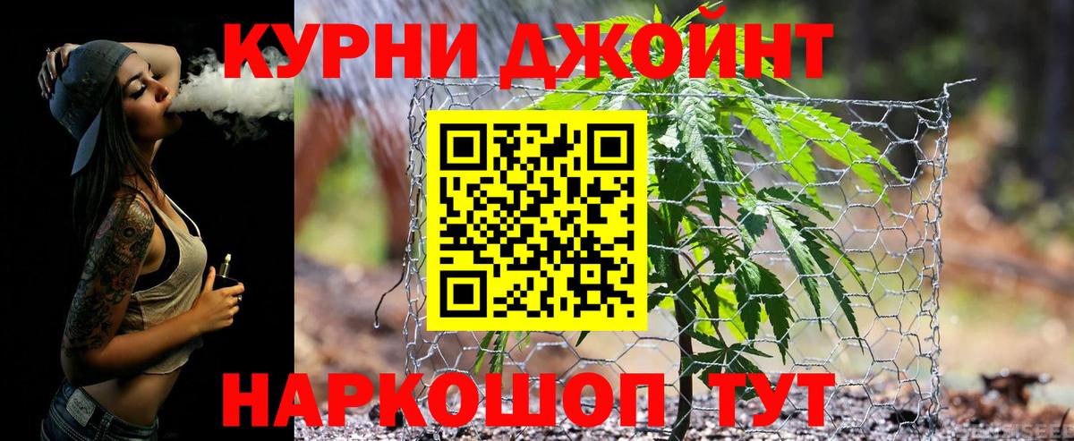 Бошки Шишки ГИДРОПОН Королёв